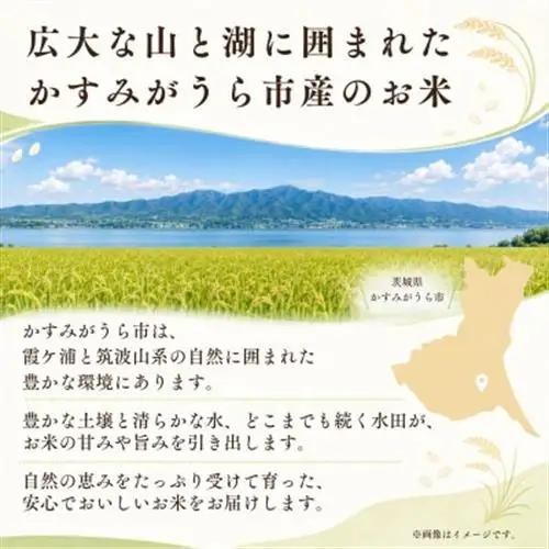 令和7年産　茨城県かすみがうら市産　精米　コシヒカリ　5kg【1662542】