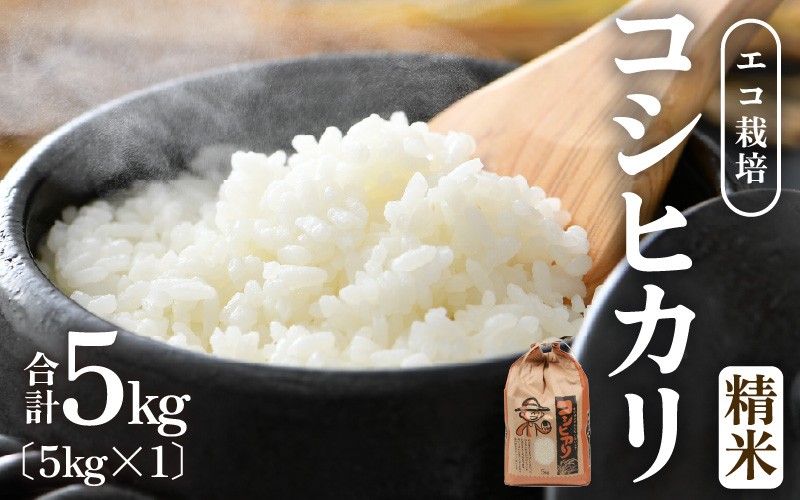 
                  【先行予約】【令和8年産 新米】エコ栽培コシヒカリ　白米5kg ／ 鮮度抜群 福井県産 こしひかり ご飯 新鮮 白米 ※2026年10月上旬以降順次発送 [aw063-a023]
                