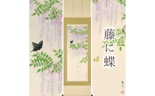 掛け軸「藤に蝶」 富岡蘇峰 尺五立 サイズ：54.5×190cm 桐箱付 掛け軸 表装 床の間