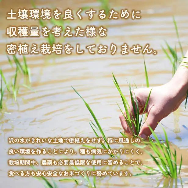 《定期便8ヶ月》【7分搗き】あきたこまち 5kg 秋田県産 令和7年産 こまちライン