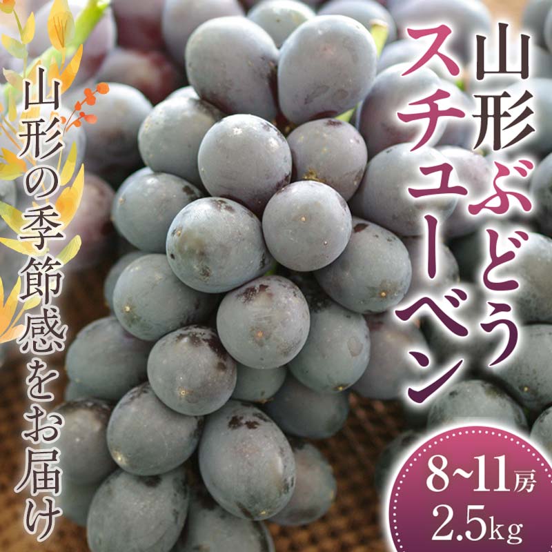 【ふるさと納税】 《2026年 先行予約》 スチューベン ぶどう 8～11房 2.5kg【2026年9月から発送】 ブドウ 葡萄 デザート フルーツ 果物 くだもの 果実 食品 山形県 FSY-2412