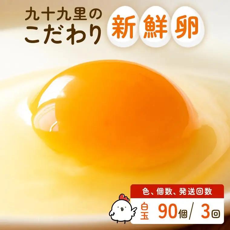 【定期便3回】九十九里ファームこだわりたまご贈答用 90個 ～あおい海・みどりの里～《白玉》 たまご 卵 玉子 タマゴ 白玉 卵かけご飯 新鮮 旨み 甘み 贈答用 贈答 ギフト 贈り物 千葉県 匝瑳市
