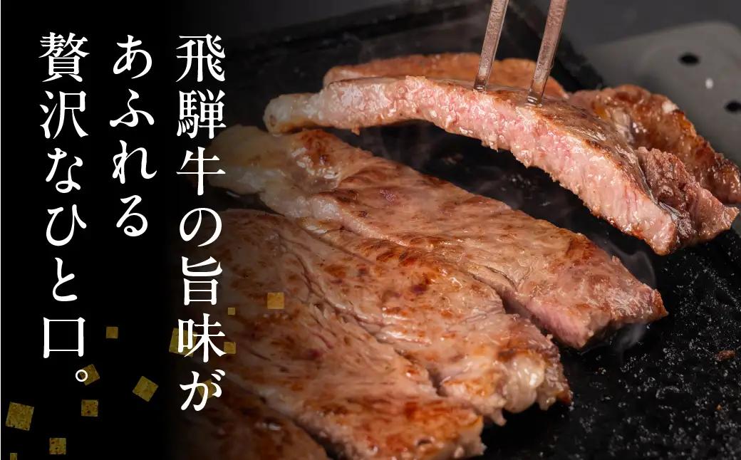 飛騨牛 サーロインステーキ 500g(250g×2)| ステーキ
