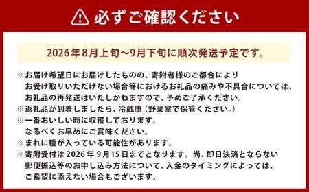 BKシードレス2房（500g前後×2房）【2026年8月上旬上旬発送開始】 ぶどう フルーツ 果実 食べ比べ デザート 贈り物 冷蔵 熊本県