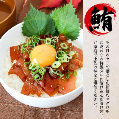 ふるさと納税 田野町 【四国一小さなまち】これが魚屋の漬け丼だ!鯛の漬け丼&マグロの漬け丼 80g×各10P★訳あり★ |  | 02