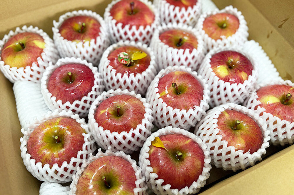 【26年11月発送】りんご【数量限定】家庭用 葉とらず ふじ 約5kg（中玉～大玉12～18玉程度）【先行受付】 青森 果物 フルーツ 林檎 リンゴ くだもの 予約 [アップル おいしい はとらず ふ
