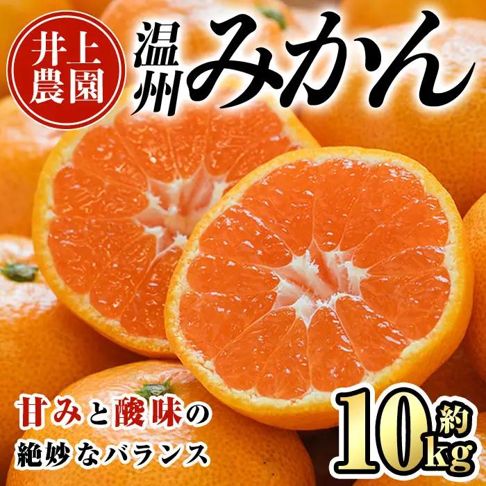 ＜先行予約受付中！12月中旬より順次発送予定＞数量限定 大分県宇佐市産 温州みかん(約10kg)みかん ミカン 蜜柑 柑橘 フルーツ 果物 くだもの 果実 国産【103620500】【井上農園】