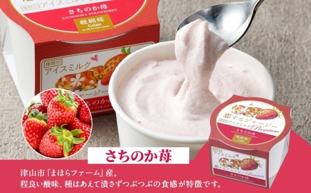 【ジェラート醍醐桜】恋するジャージーPremium2種 （ゴールデンミルク＆さちのか苺）計8個セット / 岡山 真庭 【nhss029-01】