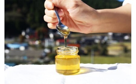 【6回定期便】グラノーラ 無添加 国産はちみつ使用【ノラノーラ ミケ&クロ】ココナッツ・ショコラ（大）2袋セット（250g×2） A-MT-C02A