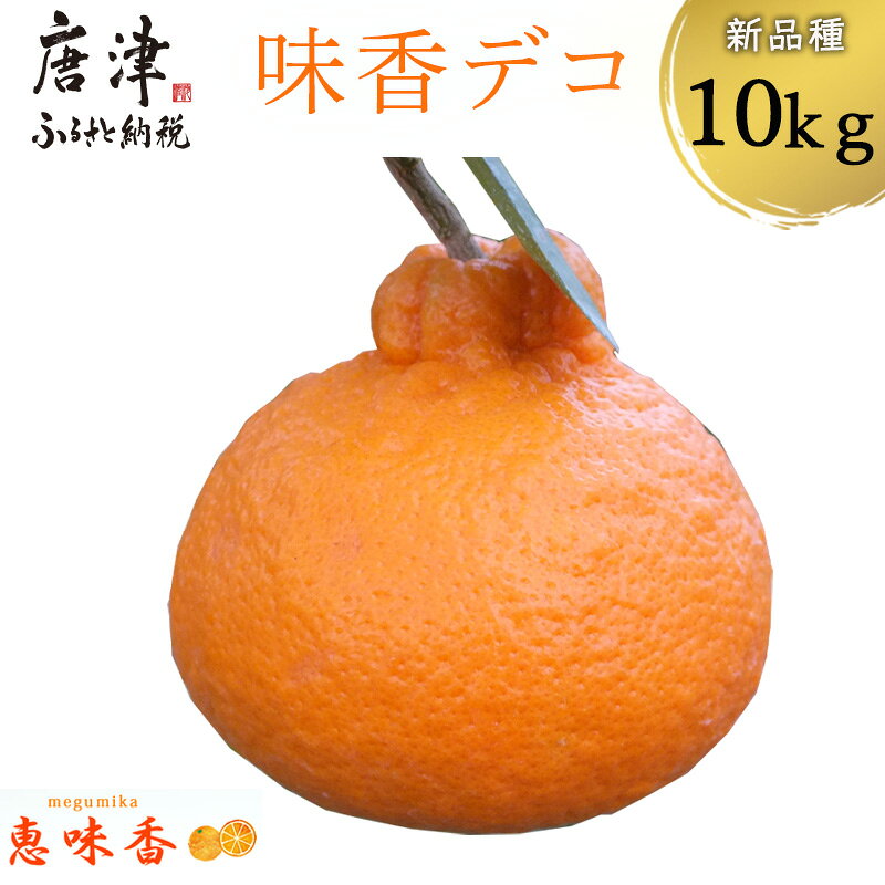 【ふるさと納税】『先行予約』【令和9年3月上旬発送】糖度が高すぎッ！味香デコ 10kg 新品種 果皮も美味しく食べられる！フルーツ 果物 デザート 柑橘