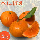 【ふるさと納税】【期間限定・2025/2/10まで】べにばえ　5kg※1月中旬頃から順次発送※ / 和歌山県 紅ばえ フルーツ くだもの 果物 柑橘 田辺市