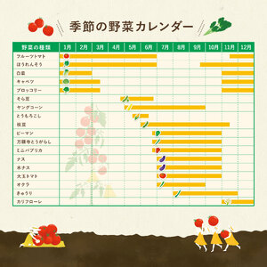 定期便 季節 野菜 詰め合わせ 500g 6ヶ月 連続お届け 果物 産地直送 朝どれ 詰め合わせ とれたて 濃厚 ごほうびとまと 風の子ファーム ﾌﾙｰﾂﾄﾏﾄ ほうれんそう 白菜 ｷｬﾍﾞﾂ ﾌﾞﾛ