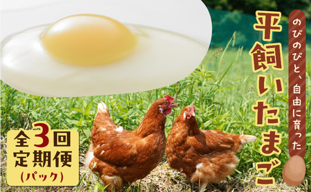 【 全3回 定期便 】 平飼い たまご T074-T01-01 卵