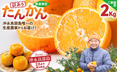 ＜ ご家庭用 ＞ 訳あり たんかん 2kg （ 2026年 2月 より 順次発送 ） C071-001-02 果物 フルーツ