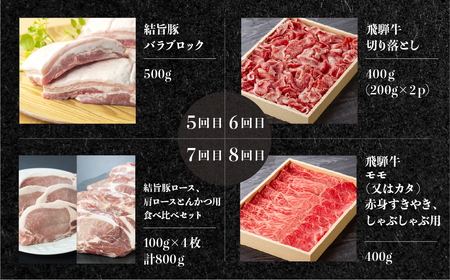 《定期便12回》飛騨牛＆結旨豚　食べきりタイプ スペシャル定期便 12か月 1年間 焼肉 サーロイン ロース モモ すき焼き しゃぶしゃぶ 牛肉 豚肉 国産 焼き肉 赤身 A4 A5 豚肉 バラ ブラ