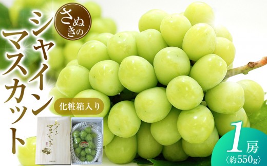 
                  シャインマスカット 約550g (1房) 化粧箱入り
                