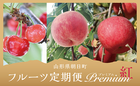 フルーツ ３種類 定期便 ( さくらんぼ 白桃 りんご ） プレミアム 紅コース 秀品 農家直送 山形県 朝日町産 農産物 山形産 サクランボ 紅秀峰 もも 川中島 リンゴ サンふじ 高級 果物 夏 秋 冬 送料無料