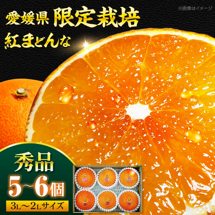 【ふるさと納税】 【先行予約】【11月下旬から順次発送】紅まどんな 秀品 5〜6個入（JA愛媛たいき管内産） | 人気 おすすめ ランキング おいしい 甘い みかん ミカン 紅マドンナ 果物 くだもの 大洲市/株式会社フジ・アグリフーズ[AGBA003] 20000 20000円 以下