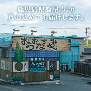 うなぎ問屋の備長炭手焼　うなぎ蒲焼　特大3尾（750ｇ） 2740