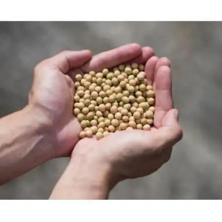 創業明治33年ニシキ醤油の定番!にっぽん丸大豆しょうゆ720ml　6本セット【1749504】