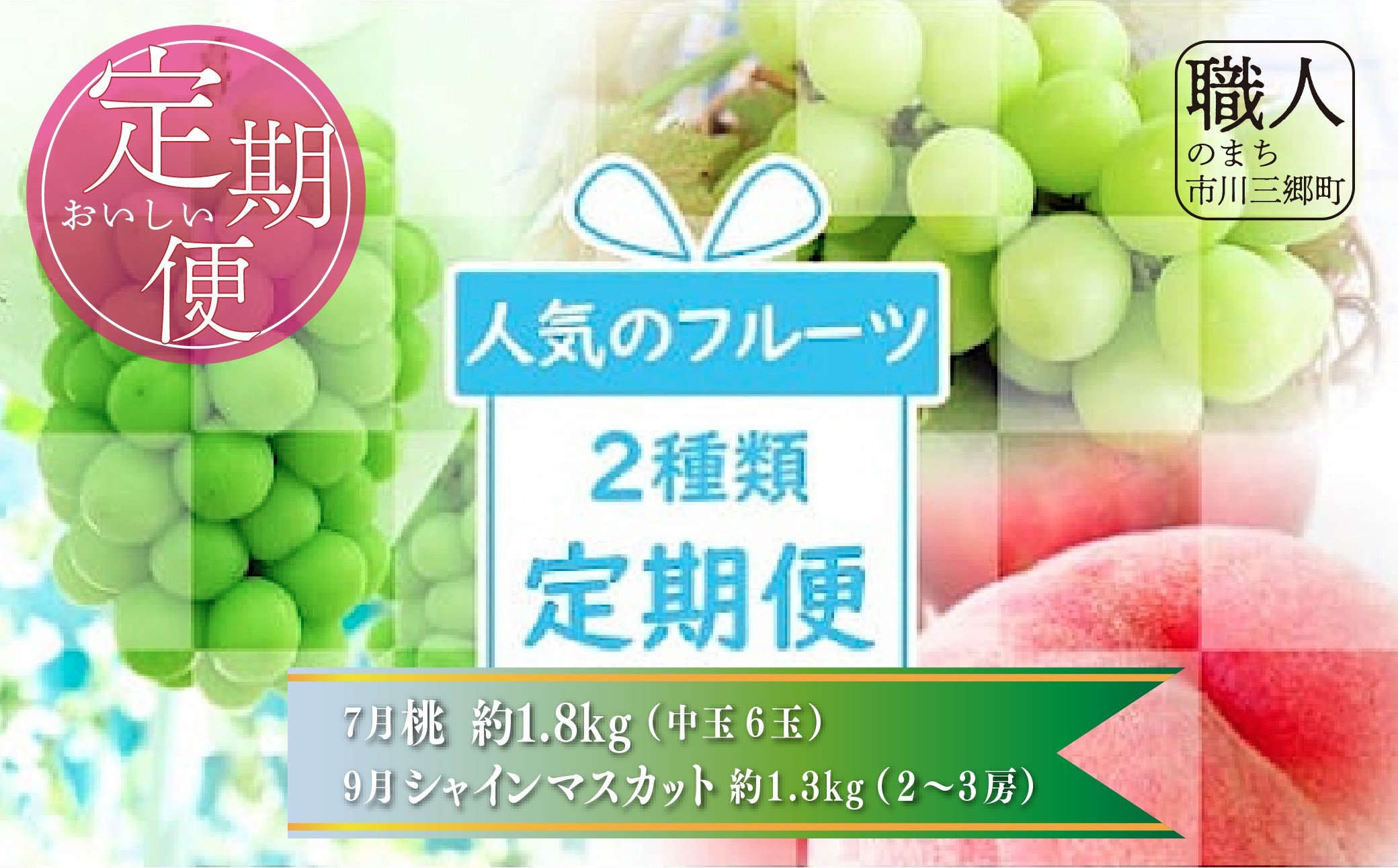 
                  山梨県 市川三郷町 フルーツ定期便（計2回）　桃 約1.8㎏(6玉)・シャインマスカット1.3kg (2～3房) 　2026年発送[5839-2049]
                