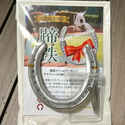 【ふるさと納税】幸運の蹄鉄【1714411】