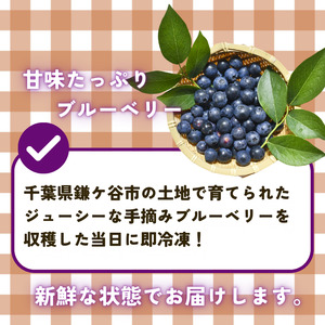 【千葉県のあま～い恵み】小分けパックの冷凍ブルーベリー 5kg(500g×10袋)