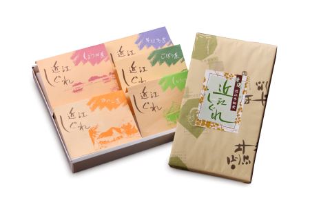 近江しぐれ　５種【500ｇ（100ｇ×5種類）】【N011U】