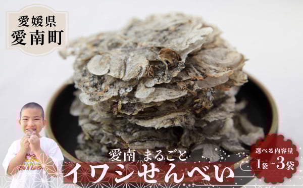 
            【選べる内容量】愛南まるごとイワシせんべい 1袋×15g・1袋×30g・3袋×30g 伊予乃国 いわし せんべい おつまみ おやつ 海鮮 お酒 父の日 母の日 こどもの日 敬老の日 プレゼント カルシウム 鰯 煎餅 魚 煮干し 試供品 お試し 少量 愛媛県 愛南町
          