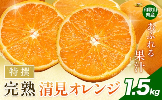 特撰 完熟 清見オレンジ 約1.5kg 有田マルシェ《2027年2月下旬-5月上旬頃出荷》和歌山県 日高町 国産 みかん オレンジ 柑橘 果物