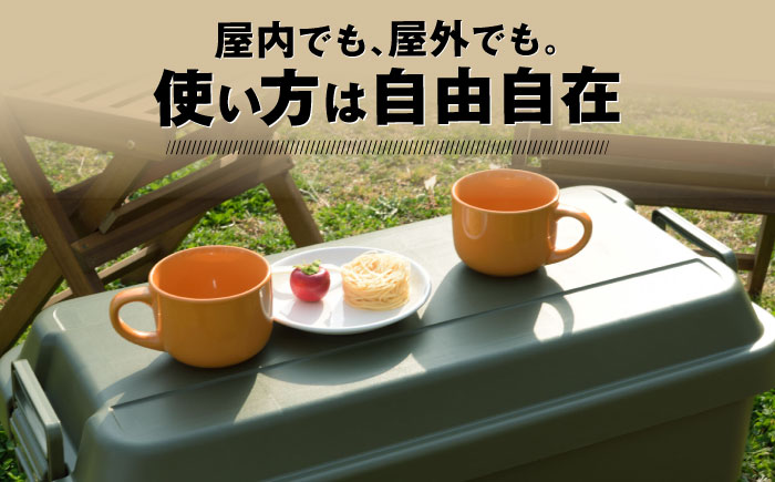 アウトドア 収納ケース グリーン Lサイズ1個 / キャンプ 収納 ボックス アウトドア / 恵那市 / 東谷株式会社 明智流通センター [AUAD023]