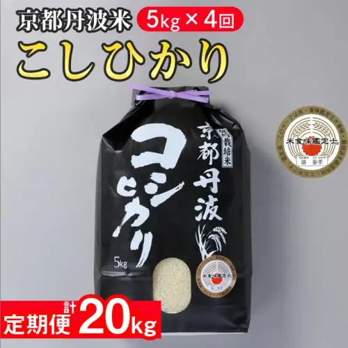 【4回定期便】米 コシヒカリ 5kg 定期便 精米 白米