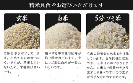 【新米・先行予約】旨いご飯！お米 ハナエチゼン 5kg 「白米」 令和6年 福井県産【米 はなえちぜん 華越前 人気品種 ブランド米 5キロ 精米 白米 玄米  5ぶづき米 おにぎり うまい ぶつき米