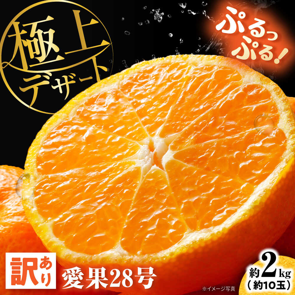 【ふるさと納税】みかん 訳あり愛果28号 サイズ不揃い 約2kg 約10玉【12月上旬から12月下旬まで順次発送】 / フルーツ 果物 蜜柑 ミカン オレンジ 小玉 甘い 先行予約 2kg 愛媛 果汁 家庭用 不揃い 人気 おすすめ / 愛媛県砥部町/株式会社電子食品流通研究所[BJBL001]