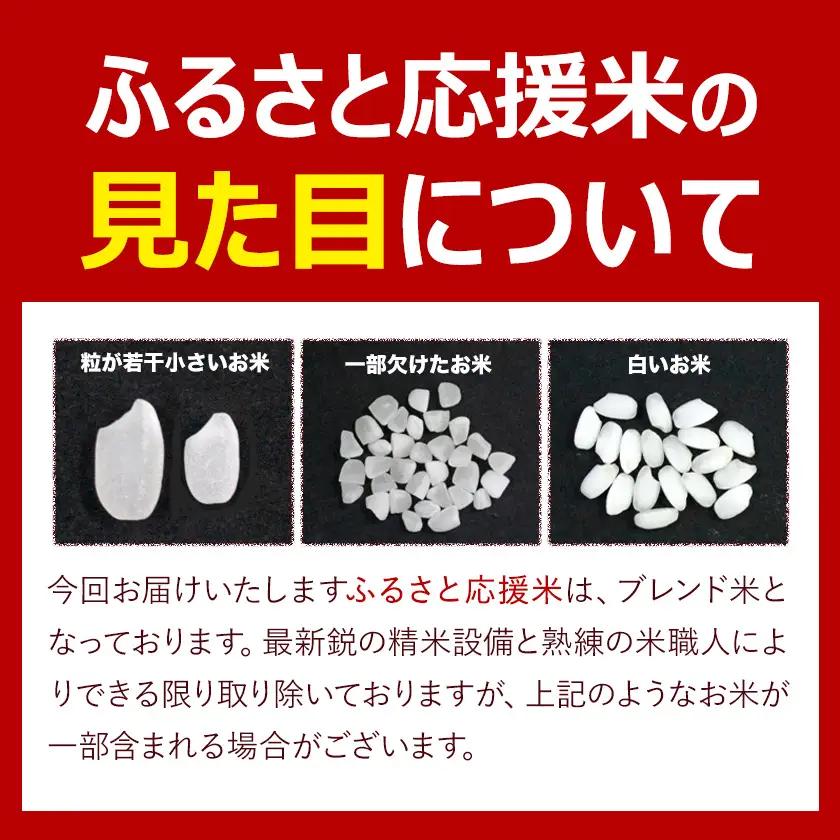 【12ヶ月定期便】米 無洗米 熊本 ふるさと応援 定期便 米 5kg