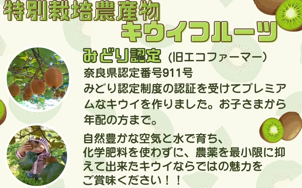 ＜12月以降順次発送＞プレミアム キウイ フルーツ Lサイズ 14個入 追熟処理済 ／ ふるさと納税 キウイ キウイフルーツ ギフト 栄養 果物 お土産 化学肥料不使用 特別栽培 塩 奈良県 宇陀市 