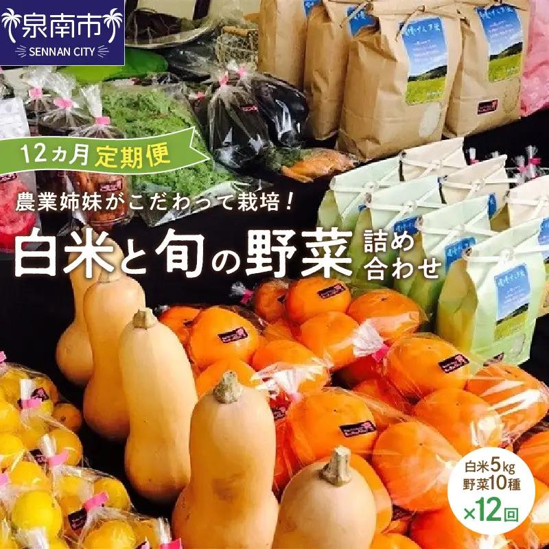 農業姉妹がこだわって栽培！白米5kgと旬の厳選野菜10種 1年定期便【024A-031】
