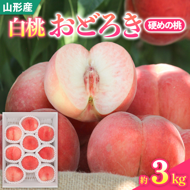 山形県産白桃おどろき 約3kg[硬めの桃]【令和8年産先行予約】FS25-150