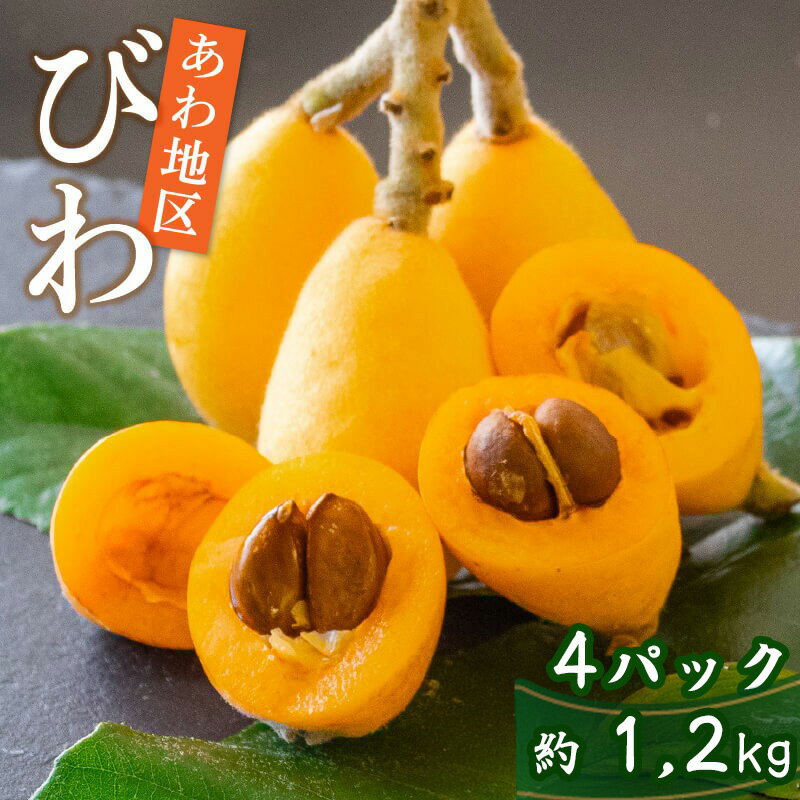 【ふるさと納税】 【早期予約受付 5月中旬 ~ 6月上旬 発送予定】約 1.2kg 数量限定 びわ フルーツ 果物 おすすめ 旬 果実 ギフト 枇杷 期間限定 高知県 須崎市 高級 季節 初夏 高知 贈答 父の日 大玉 果実 くだもの