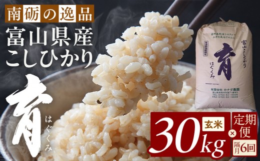 【令和7年産】定期便・隔月６回  富山県産こしひかり 育（はぐくみ）玄米３０kg《南砺の逸品》