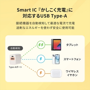 Owltech(オウルテック) 最大PD20W出力 USB Type-C×1 USB Type-A×1 AC充電器　ブラック OWL-APD20C1A1-RBK【 充電器 神奈川県 海老名市 】