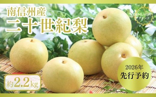 JA30-26A 【先行予約】二十世紀梨 約2kg / 2026年9月上旬～9月下旬ごろ配送 // 糖度センサー選別 厳選 南信州 長野県 和梨 なし ナシ 新鮮 厳選 贈答