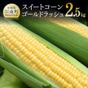 2023年発送 朝どれ！守部さんちのスイートコーン2.5kg以上(5〜8本) 先行予約 数量限定 期間限定 宮崎県産(川南町産) とうもろこし ゴールドラッシュ 朝どれ 送料無料