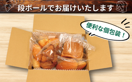 パン 定期便 全6回 詰め合わせ 定番 おいしい 米粉パン セット 手作りパン工房 みなみ えひめ南農業協同組合 米粉 食パン 1斤 ロールパン 6個 クロワッサン 3個 コッペパン 2個 ぱん パン