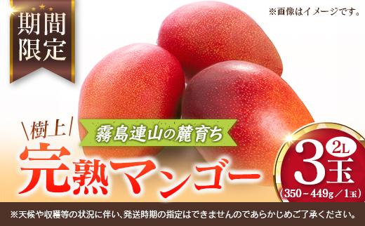 宮崎 樹上完熟 マンゴー 2Lサイズ×3玉 霧島連山の麓育ち 宮崎県産 トロピカル フルーツ お取り寄せ 果物 旬