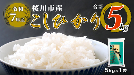 【 令和7年産 】 数量限定 桜川市産こしひかり 5kg（5kg×1袋） [AX018sa]