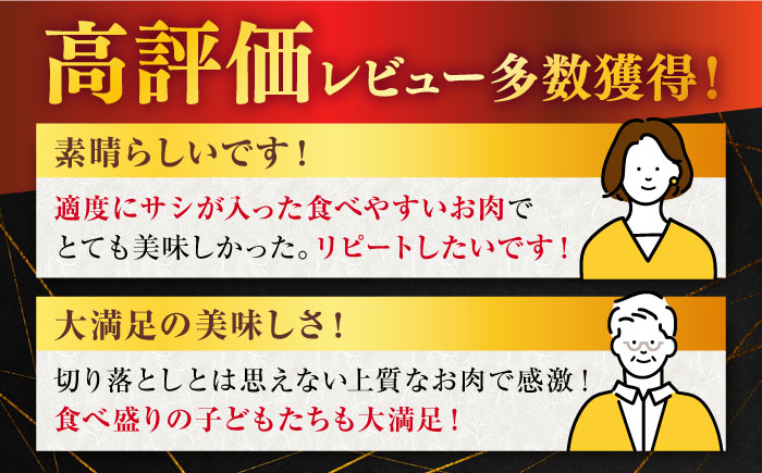 【3回定期便】 佐賀牛 切り落とし 500g (総計 1.5kg)【桑原畜産】 NAB032