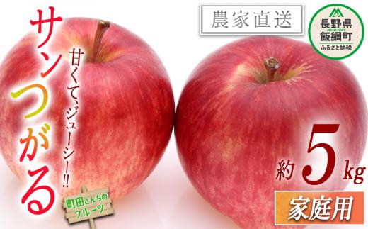 りんご サンつがる 家庭用 5kg 沖縄県への配送不可 2025年8月下旬頃から2025年9月中旬頃まで順次発送予定 町田さんちのりんご 長野県 飯綱町 [0411]