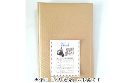 戦国武将兜(全39種より選択)《キット品》