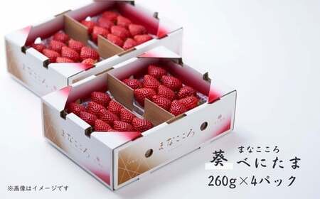 【先行予約】いちご べにたま 葵 260g×4パック | いちご＼ 期間限定 特別寄附額 ／